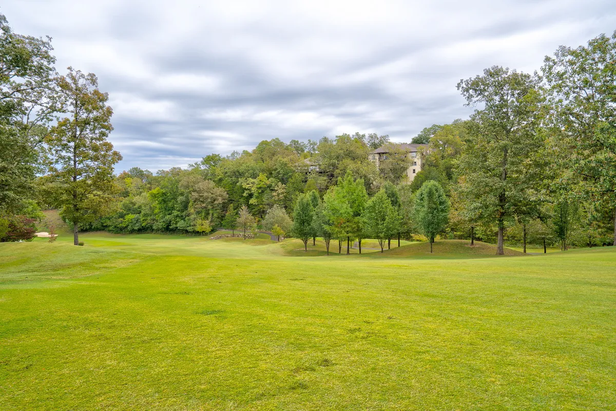 An inviting landscape with lush green grass, tall mature trees, and a distant house on a gentle hill. The open space and natural features evoke a sense of freedom and adventure, perfect for leisurely strolls or quiet moments with a pet.